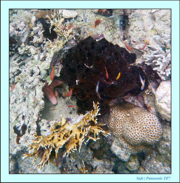 2009   07   Matakin 31